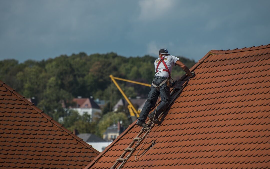 docu direct beim Landesinnungsverband des Dachdeckerhandwerks Rheinland-Pfalz
